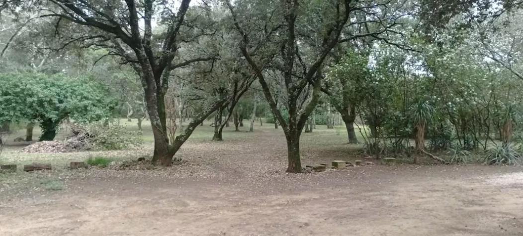 Tente Safari Au Pont Du Gard Вер Пон дю Гар Екстериор снимка